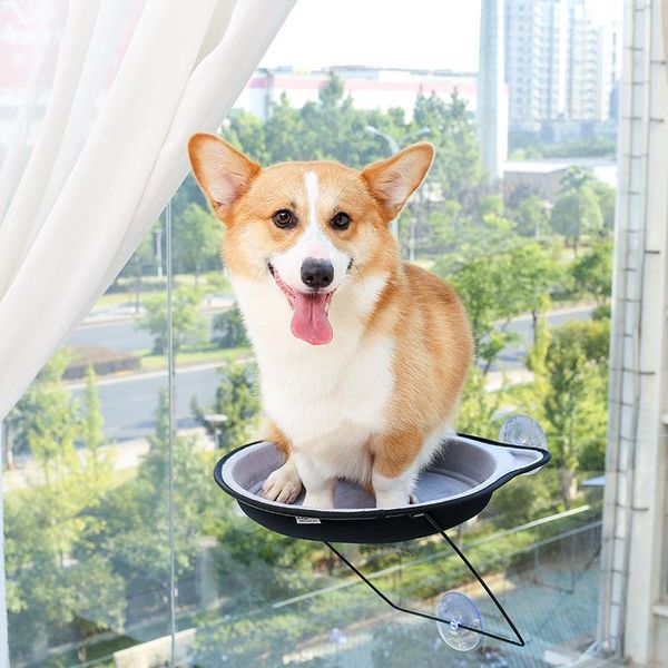 cat beds & furniture alfpetpig pet hanging bed hammock sleeping space window dogs cats toy sofa tatami suppli
cat beds & furniture alfpetpig pet hanging bed hammock sleeping space window dogs cats toy sofa tatami suppli