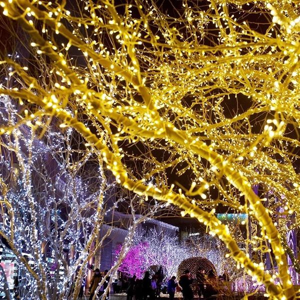 strings led fairy string lights 10m 20m 30m 50m 100m holiday decoration christmas light outdoor waterproof wedding year garland
strings led fairy string lights 10m 20m 30m 50m 100m holiday decoration christmas light outdoor waterproof wedding year garland