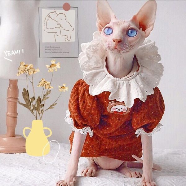 cat costumes french collar retro cute puff sleeve dress spring and autumn clothes hairless accessories skirt
cat costumes french collar retro cute puff sleeve dress spring and autumn clothes hairless accessories skirt