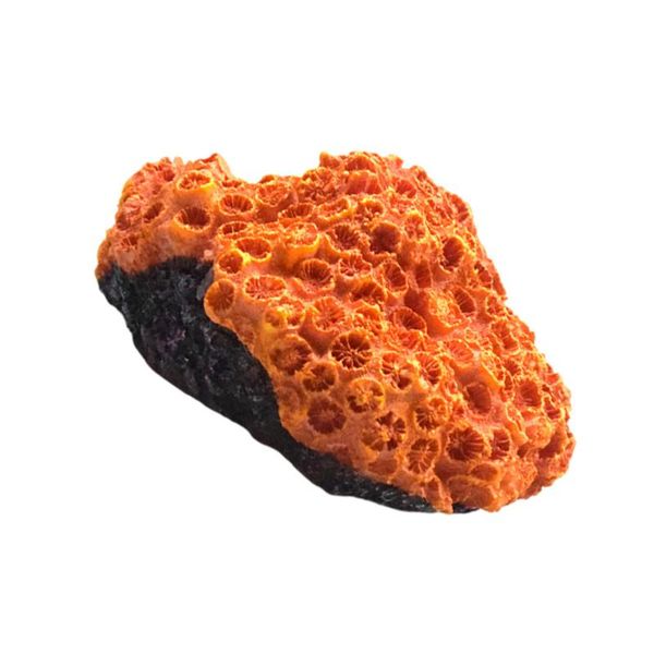 decorations 1pc aquarium coral ornament fish tank decoration resin sculpture 
decorations 1pc aquarium coral ornament fish tank decoration resin sculpture