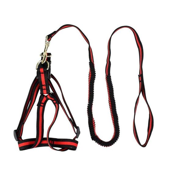 dog collars & leashes elasticity harness for large dogs nylon retractable anti dash pull lead length 190cm
dog collars & leashes elasticity harness for large dogs nylon retractable anti dash pull lead length 190cm