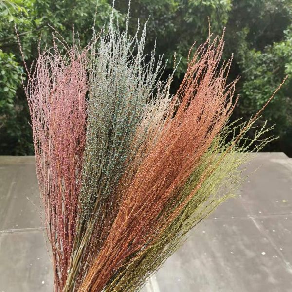 decorative flowers & wreaths 30-35g/30-40cm,natural dried snow twig branches,real display dry cane grass branch for wedding home party decor
decorative flowers & wreaths 30-35g/30-40cm,natural dried snow twig branches,real display dry cane grass branch for wedding home party decor
