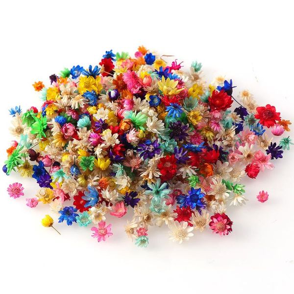 nail art decorations 100/200/600pcs daisy dried flowers decor 3d natural dry flower stickers diy decals polish manicure accessories, Silver;gold
nail art decorations 100/200/600pcs daisy dried flowers decor 3d natural dry flower stickers diy decals polish manicure accessories, Silver;gold