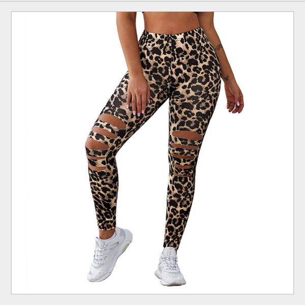 women's leggings sweolso leopard print holle out black workout pants pencil ripped skinny breathable hip lifting s
women's leggings sweolso leopard print holle out black workout pants pencil ripped skinny breathable hip lifting s