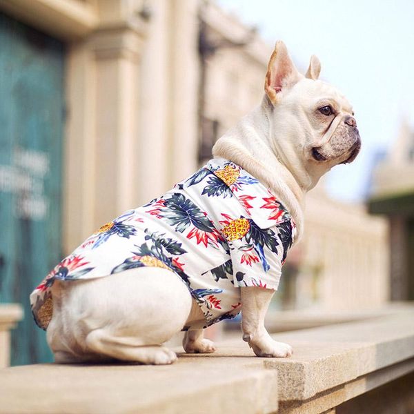 dog apparel pet spring summer clothes hawaiian shirts flower pineapple print shirt for small medium puppy cat
dog apparel pet spring summer clothes hawaiian shirts flower pineapple print shirt for small medium puppy cat