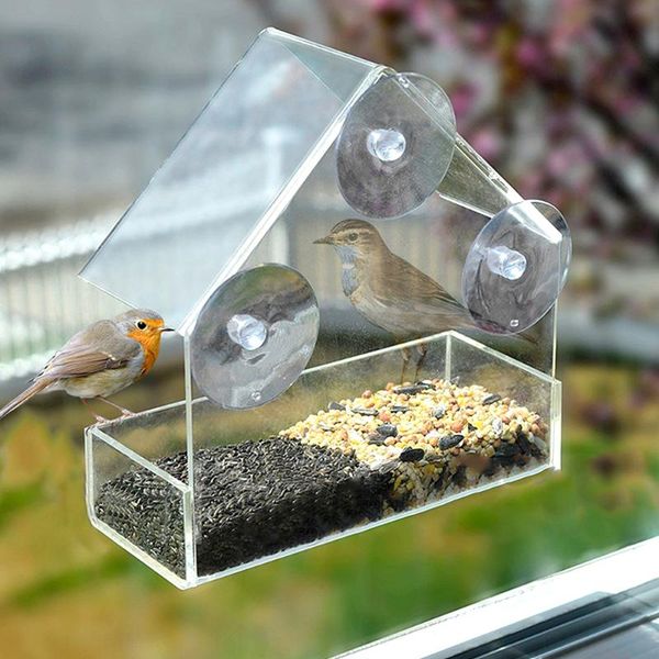 other bird supplies window feeder el wild table hanging suction perspex clear viewing seed adsorption type house alimentador
other bird supplies window feeder el wild table hanging suction perspex clear viewing seed adsorption type house alimentador