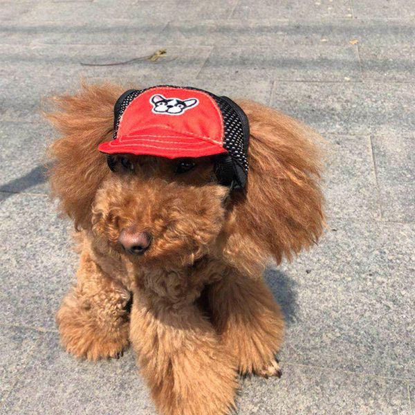 dog apparel cap with ear holes for small large dogs canvas baseball beach visor hat puppy outdoor headdress accessories
dog apparel cap with ear holes for small large dogs canvas baseball beach visor hat puppy outdoor headdress accessories