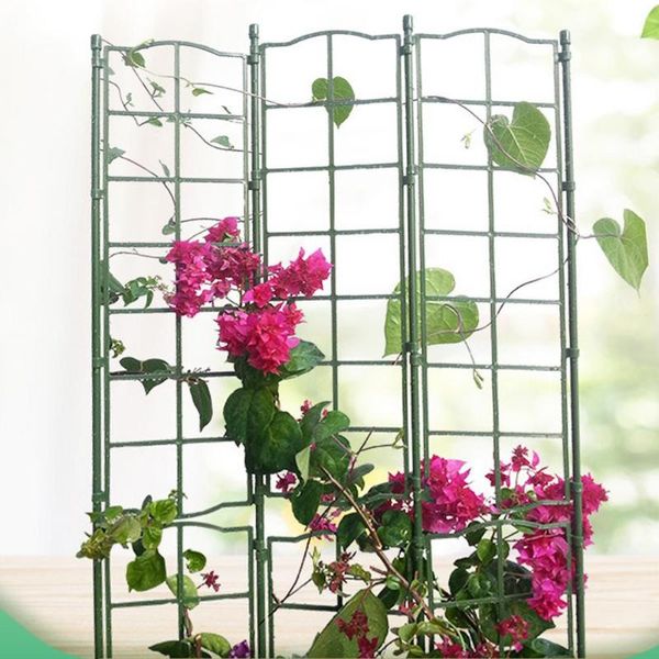 fencing, trellis & gates plant climbing netting garden orchard durable flower stand gardening support frame for home balcony yard decoration
fencing, trellis & gates plant climbing netting garden orchard durable flower stand gardening support frame for home balcony yard decoration