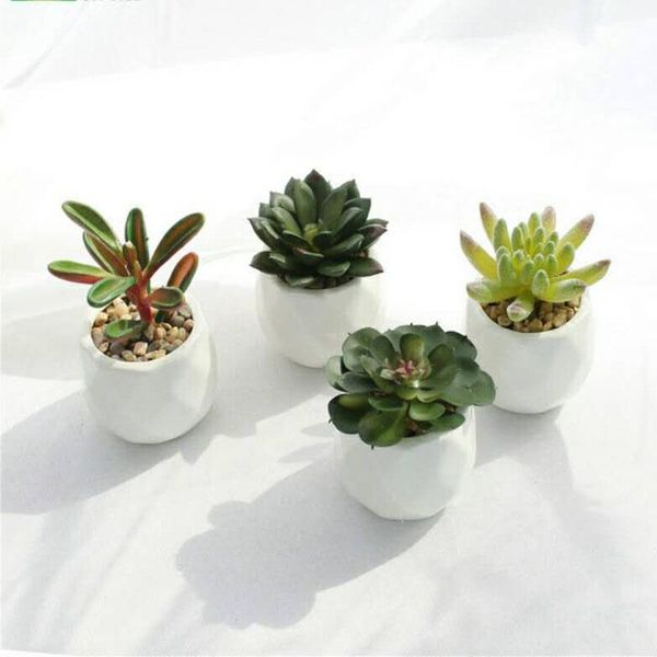 wholesale simulation succulent potted plant package imitation really bonsai home ideas decorative flowers & wreaths
wholesale simulation succulent potted plant package imitation really bonsai home ideas decorative flowers & wreaths