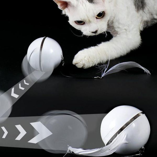 cat toys electric pet ball colorful led rolling flash with bell feather usb rechargeable toy
cat toys electric pet ball colorful led rolling flash with bell feather usb rechargeable toy
