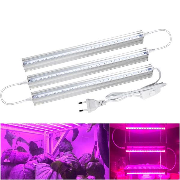 lamp for plants seedlings flower indoor grow tent greenhouse vegetables lights phyto full spectrum bulbs led
lamp for plants seedlings flower indoor grow tent greenhouse vegetables lights phyto full spectrum bulbs led