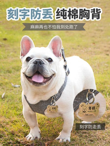 collar dog tag lettering anti losing teddy cat mini dog chest back traction rope pet id tag
collar dog tag lettering anti losing teddy cat mini dog chest back traction rope pet id tag
