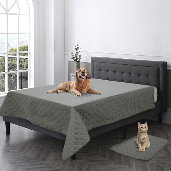 kennels & pens mattress protector mat for bed er sofa cover furniture waterproof dog blanket washable pets kids
kennels & pens mattress protector mat for bed er sofa cover furniture waterproof dog blanket washable pets kids