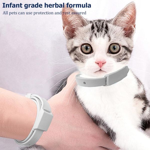 cat collars & leads adjustable mosquito removes flea and tick collar dogs cats up to 8 month anti-mosquito insect repellent
cat collars & leads adjustable mosquito removes flea and tick collar dogs cats up to 8 month anti-mosquito insect repellent