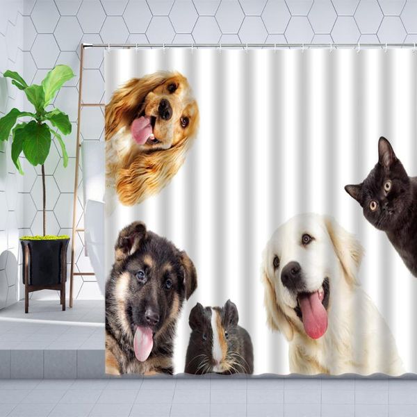 shower curtains funny animals curtain cute cat dog cartoons printed home decorate polyester cloth bathroom bathtub hanging sets
shower curtains funny animals curtain cute cat dog cartoons printed home decorate polyester cloth bathroom bathtub hanging sets