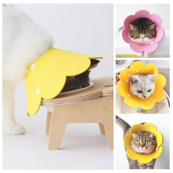 cat collars & leads elizabethan dog collar cone pet health wound healing l m bite s anti k2e2
cat collars & leads elizabethan dog collar cone pet health wound healing l m bite s anti k2e2