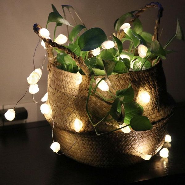novelty items (1pcs/lot)shell led light string natural shell beach wedding & christmas decor handmade craft party supplies
novelty items (1pcs/lot)shell led light string natural shell beach wedding & christmas decor handmade craft party supplies