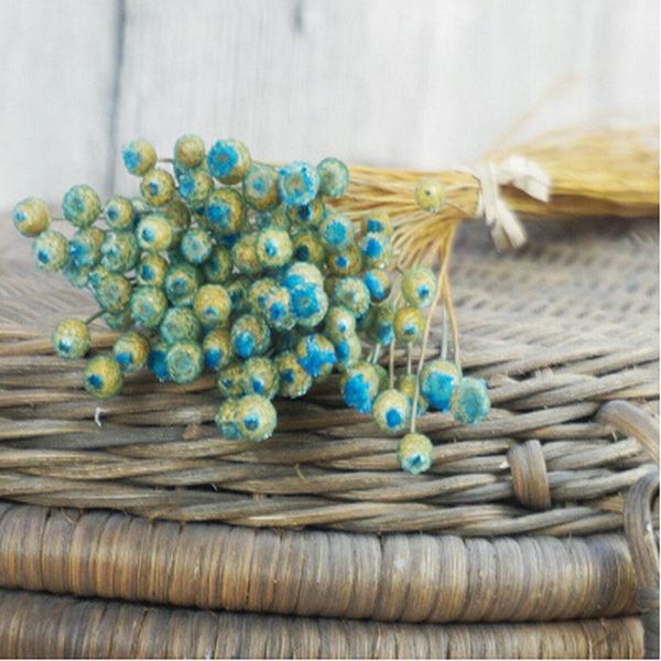 decorative flowers & wreaths 200pcs natural dried happy flower,display flower branch for diy home party room decoration and wedding decor bi
decorative flowers & wreaths 200pcs natural dried happy flower,display flower branch for diy home party room decoration and wedding decor bi