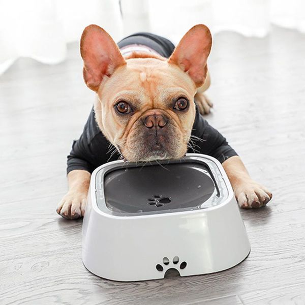 dog bowls & feeders 1.5l pet car mounted floating not wetting mouth cat bowl no spill drinking water feeder plastic portable dogs petshop
dog bowls & feeders 1.5l pet car mounted floating not wetting mouth cat bowl no spill drinking water feeder plastic portable dogs petshop