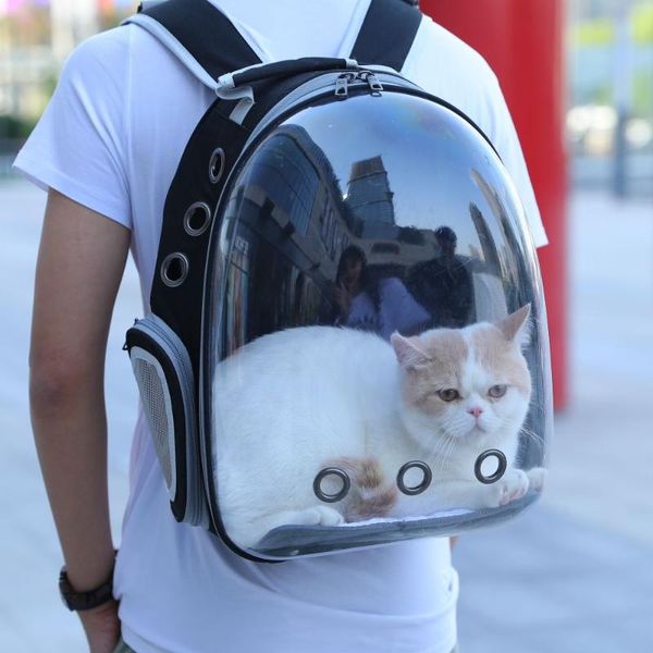 cat bag backpack transparent space pet cabin out portable travel dog car seat covers
cat bag backpack transparent space pet cabin out portable travel dog car seat covers