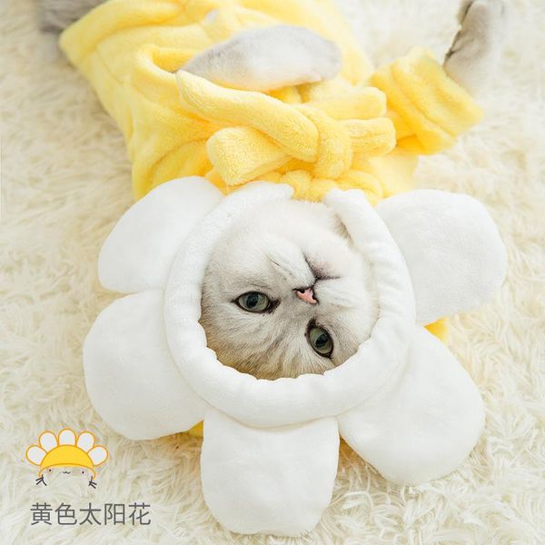 cat costumes summer pet printed clothes for dogs floral beach shirt jackets dog coat puppy costume spring clothing pets outfits
cat costumes summer pet printed clothes for dogs floral beach shirt jackets dog coat puppy costume spring clothing pets outfits