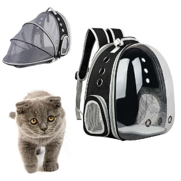 pc expandable cat carrier backpack portable pet puppy traveling outdoor transporter conveyor cats bag accessories carriers,crates & houses
pc expandable cat carrier backpack portable pet puppy traveling outdoor transporter conveyor cats bag accessories carriers,crates & houses