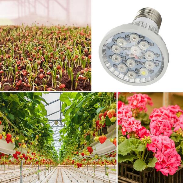flower grow light e27 plant lamps growing plants led for indoor greenhouse lights
flower grow light e27 plant lamps growing plants led for indoor greenhouse lights