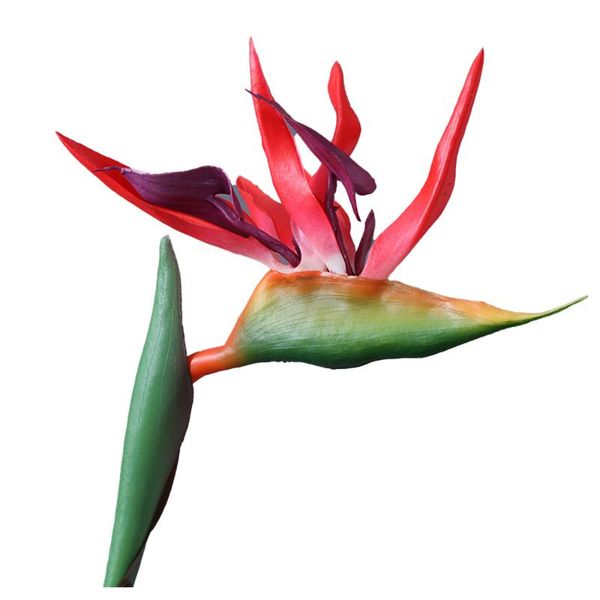decorative flowers & wreaths 82cm peacock strelitzia reginae aiton pvc artificial flower home decoration shop layout party gift wedding suns
decorative flowers & wreaths 82cm peacock strelitzia reginae aiton pvc artificial flower home decoration shop layout party gift wedding suns