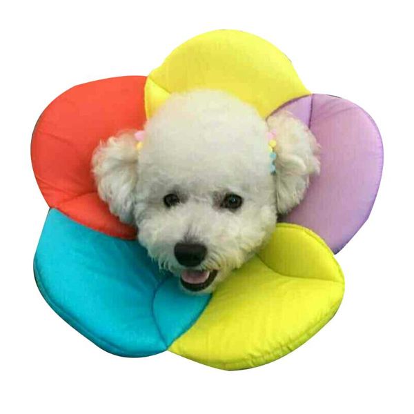 cat collars & leads smart e-collar anti-scratch soft protective dog pet elizabethan collar wound healing adjustable flower prevent bite shie
cat collars & leads smart e-collar anti-scratch soft protective dog pet elizabethan collar wound healing adjustable flower prevent bite shie
