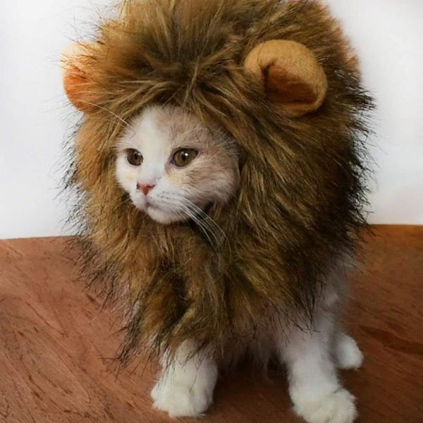 cat costumes funny cute pet costume lion mane wig cap hat for dog halloween christmas clothes fancy dress with ears
cat costumes funny cute pet costume lion mane wig cap hat for dog halloween christmas clothes fancy dress with ears