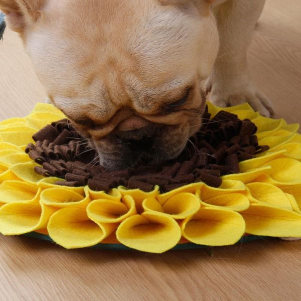 dog snuffle mat encourages natural foraging skills for stress release pet feeding training pad sniffing kennels & pens
dog snuffle mat encourages natural foraging skills for stress release pet feeding training pad sniffing kennels & pens