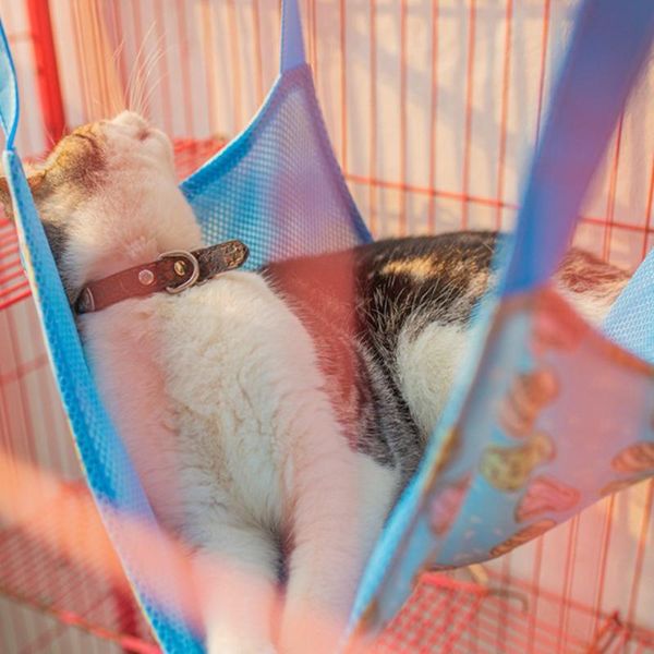 ly pet hammock hanging bed cat sleeping pad cooling for summer kitten hamsters chinchillas ferrets small animals beds & furniture
ly pet hammock hanging bed cat sleeping pad cooling for summer kitten hamsters chinchillas ferrets small animals beds & furniture