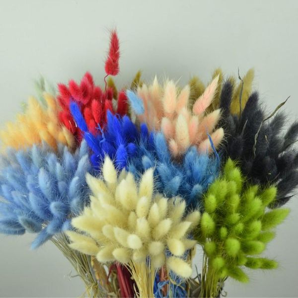 decorative flowers & wreaths 50pcs natural dried flower tail pampas grass bunch real bouquet for pography props flores diy home weddin
decorative flowers & wreaths 50pcs natural dried flower tail pampas grass bunch real bouquet for pography props flores diy home weddin