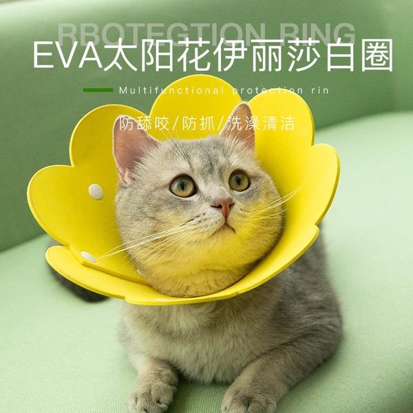 dog collars & leashes taiyanghua elizabeth ring eva sponge lightweight headgear cat pet anti-licking anti-scratch neck
dog collars & leashes taiyanghua elizabeth ring eva sponge lightweight headgear cat pet anti-licking anti-scratch neck