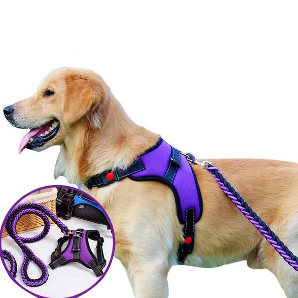 dog collars & leashes reflective harness leash set pet lead adjustable vest harnesses for small meduim large dogs training walking perfect
dog collars & leashes reflective harness leash set pet lead adjustable vest harnesses for small meduim large dogs training walking perfect