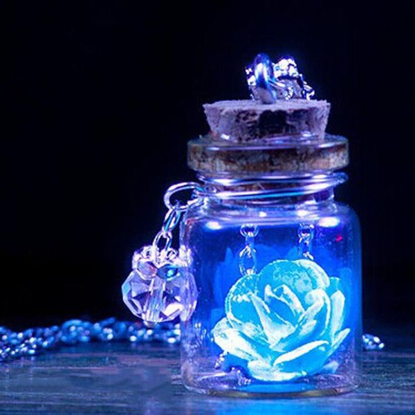 pendant necklaces duobla necklace women choker link chain luminous chains fashion jewelry geometric box trendy wishing bottle statement, Silver
pendant necklaces duobla necklace women choker link chain luminous chains fashion jewelry geometric box trendy wishing bottle statement, Silver