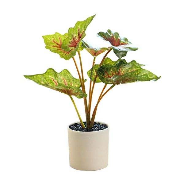 decorative flowers & wreaths fake potted leaf green plants ornaments fig tree realistic home decoration artificial creative simulation leave
decorative flowers & wreaths fake potted leaf green plants ornaments fig tree realistic home decoration artificial creative simulation leave