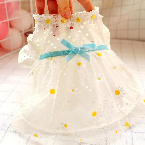 dog apparel clothes skirt net red daisy princess korean dress summer thin section
dog apparel clothes skirt net red daisy princess korean dress summer thin section