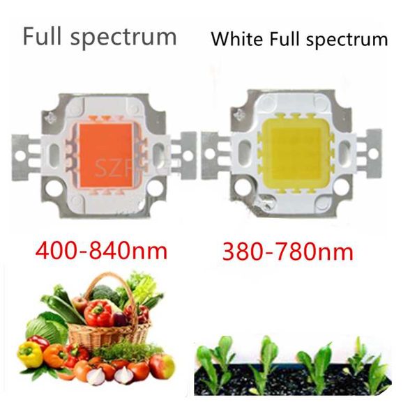 light beads led chip grow 10w full spectrum pink plant lamp diodes growth lighting for garden flowering hydroponics system 9-12v 900ma
light beads led chip grow 10w full spectrum pink plant lamp diodes growth lighting for garden flowering hydroponics system 9-12v 900ma
