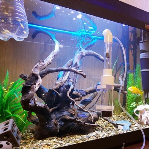aquariums easy install tumbler mouth breeder fish incubator tank farming eggs hatche transparent aquarium tool non toxic acrylic 40mm
aquariums easy install tumbler mouth breeder fish incubator tank farming eggs hatche transparent aquarium tool non toxic acrylic 40mm