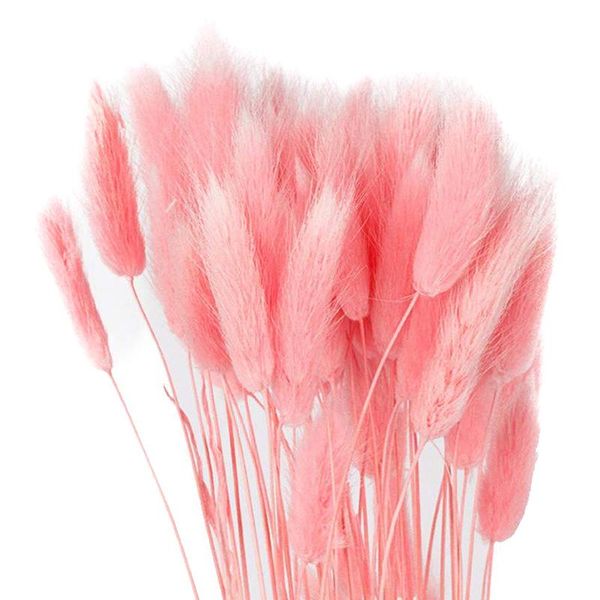 dried flower bouquet artificial lagurus ovatus decoration for home el wedding m56 decorative flowers & wreaths
dried flower bouquet artificial lagurus ovatus decoration for home el wedding m56 decorative flowers & wreaths