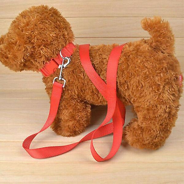 dog collars & leashes pet nylon rope leash lead strap clip collar safety restriction belt harness durable training string outdoor walking
dog collars & leashes pet nylon rope leash lead strap clip collar safety restriction belt harness durable training string outdoor walking