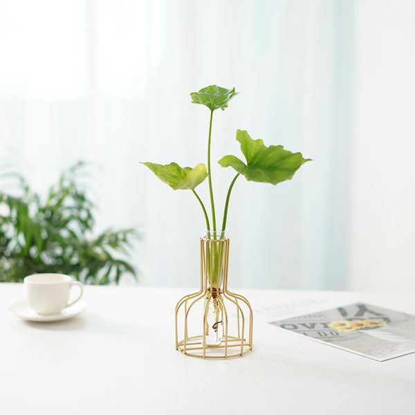 vases nordic wind contracted modern flower arrangement furnishes iron glass household vase art hydroponic
vases nordic wind contracted modern flower arrangement furnishes iron glass household vase art hydroponic