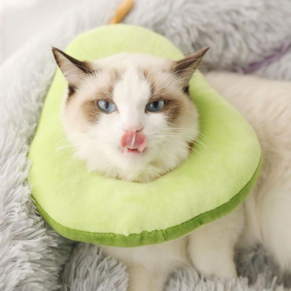 cat collars & leads adjustable collar pet hood anti-licking comfortable round supplies accessories bread and avocado shape
cat collars & leads adjustable collar pet hood anti-licking comfortable round supplies accessories bread and avocado shape