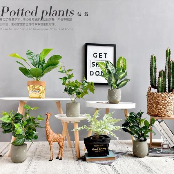 decorative flowers & wreaths fake plants with pot bonsai plantas artificiais faux greenery monstera leaf large artificial trees for home dec
decorative flowers & wreaths fake plants with pot bonsai plantas artificiais faux greenery monstera leaf large artificial trees for home dec