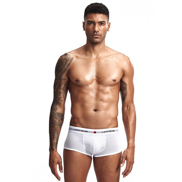 men's underpants own lanvibum youth u convex low waist cotton boxer solid color large underpants, Black;white
men's underpants own lanvibum youth u convex low waist cotton boxer solid color large underpants, Black;white