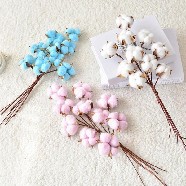decorative flowers & wreaths 10pcs naturally dried cotton flower artificial plants floral branch for wedding christmas decor fake home
decorative flowers & wreaths 10pcs naturally dried cotton flower artificial plants floral branch for wedding christmas decor fake home