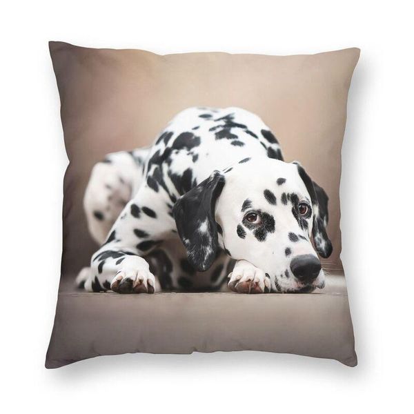 personalized cute dalmatian dog pet print pillow cover home decorative 3d two side printed animal pattern cushion for car cushion/decorative
personalized cute dalmatian dog pet print pillow cover home decorative 3d two side printed animal pattern cushion for car cushion/decorative