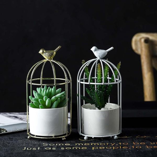1pcs nordic style bird cage ceramic flower succulen pot trays elegant iron frame plant holder stand deskdecoration planters & pots
1pcs nordic style bird cage ceramic flower succulen pot trays elegant iron frame plant holder stand deskdecoration planters & pots