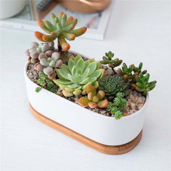 oval white ceramic succulent flowerpots green plant pot with bamboo stand small bonsai pots planters &
oval white ceramic succulent flowerpots green plant pot with bamboo stand small bonsai pots planters &